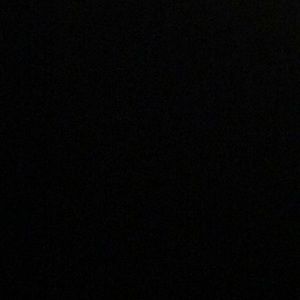 Meet your Posher, Shane